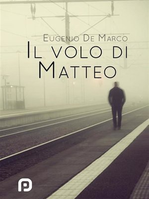 cover image of Il volo di Matteo